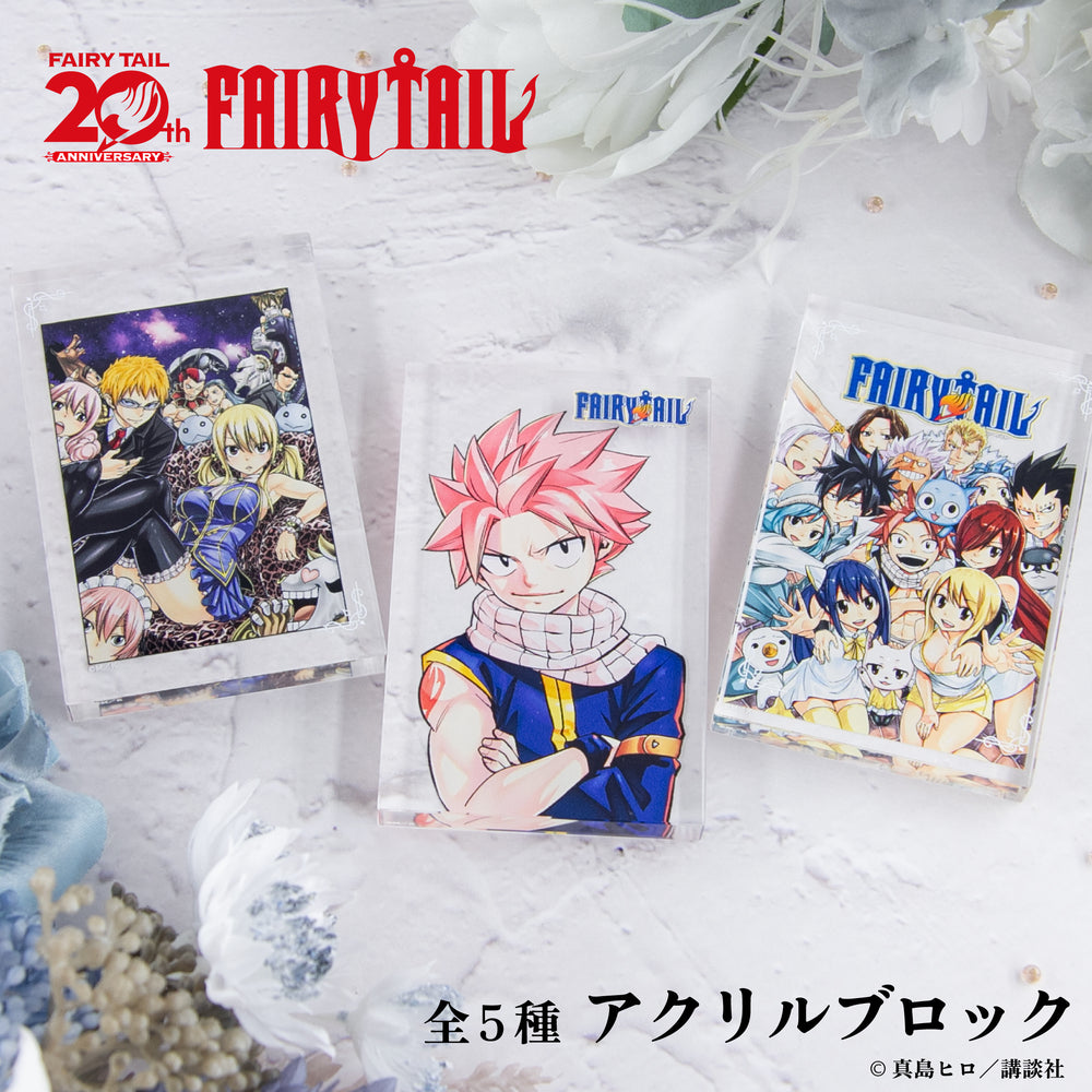 Last Fairy Tale様への個別出品です！ 予約:3月上旬以降順次発送】 FAIRY TAIL 原作 アクリルブロック