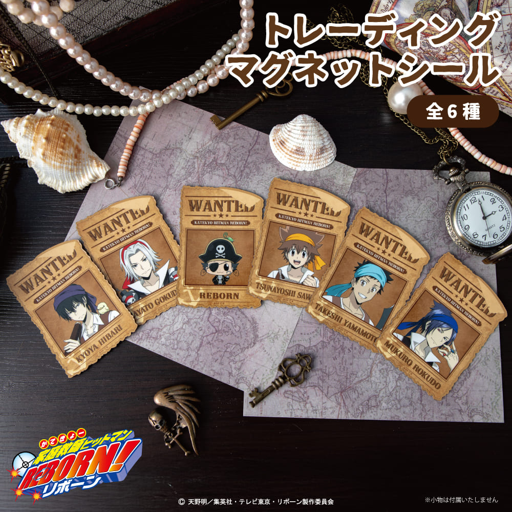 希少　家庭教師ヒットマン REBORN フィルムシール 3点セット グッズ-カード】家庭教師ヒットマン REBORN！ フィルム風