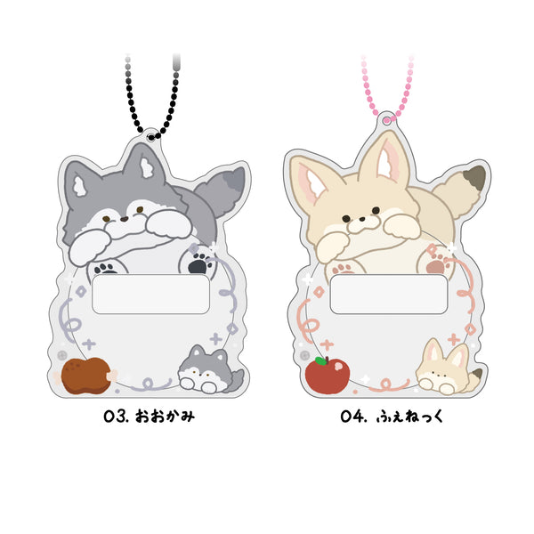 ときめーくあにまるず缶バッジフレーム・イヌ科(全6種)