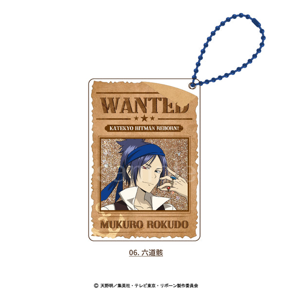 【予約：11月上旬発送予定】家庭教師ヒットマンREBORN! 描き下ろし パイレーツ グッズ グリッターキーホルダー