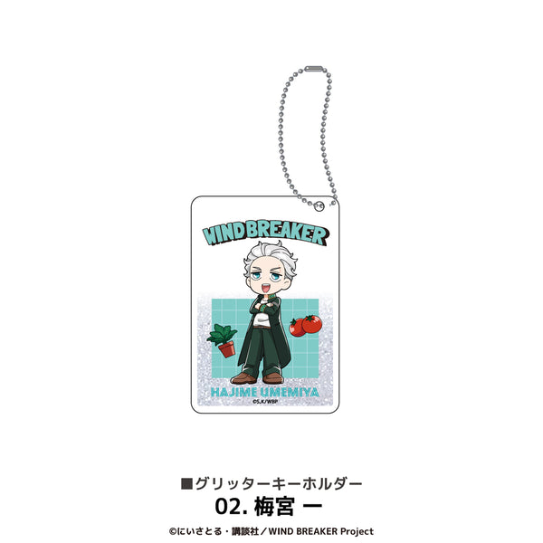 WIND BREAKER グッズ グリッターキーホルダー